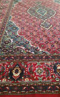 فرش ریز ماهی کاشان ۶متری