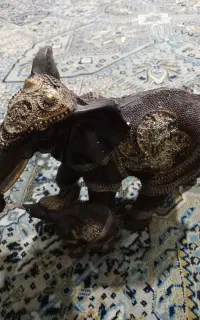 وسایل برقی و اکسسوری