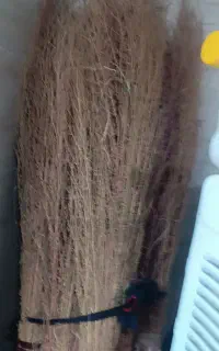 جارو پیشی