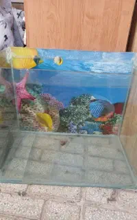 آکواریوم فروشی