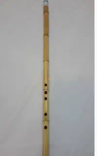 نوازنده نی