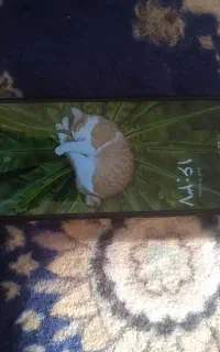 گوشی Pooco C71
