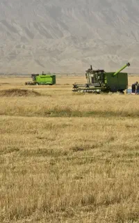 کمباین کاهکوب دروگر کوردستان