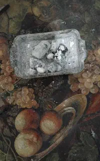 زاغ سوختن