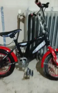 دوعدد دچرخه