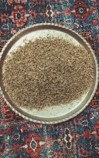 زیره سبز