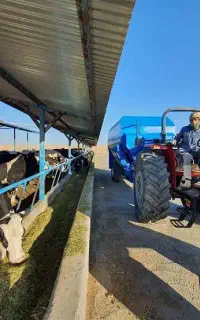 کارگر گاوداری و راننده فیدر