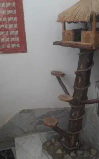 الا چیغ دکوری