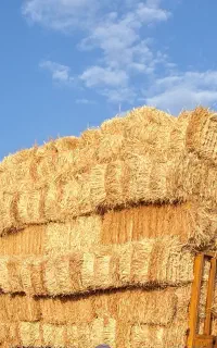 کلش۲۵ الی ۳۰ تن