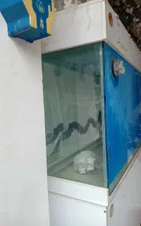 آکواریوم دو طبقه سامپ دار