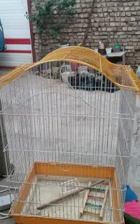 قفس پرنده