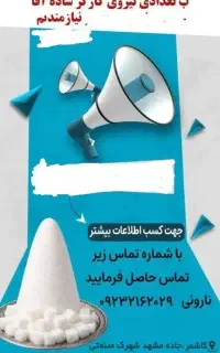 استخدام نیروی آقا