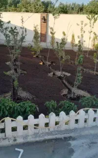 طراحی وساخت باغچه شهریار اسلامشهرتهران لواسان