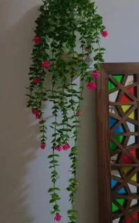 شمشاد وگل اویز کیفیت بالا  برای دکور مغازه و کافه