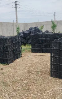 سبد 520گرمی تعداد 1200عدد