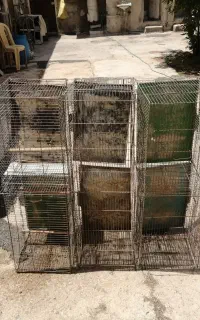 قفس پرنده بزرگ