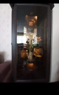 ویترین رایگان