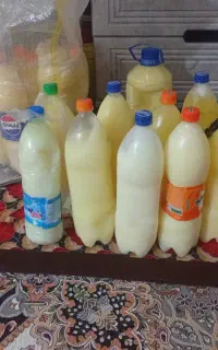 روغن گاو .گوسفند.کشک
