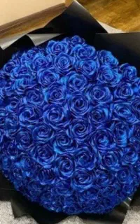 گل رز ربانی