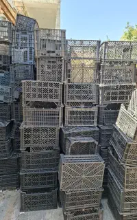 جعبه پلاستیکی سیاه برای گوجه فرنگی