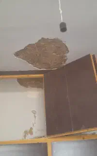 گچکاری