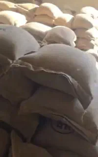فروش مستقیم دان قهوه و تجهیزات بدون واسطه