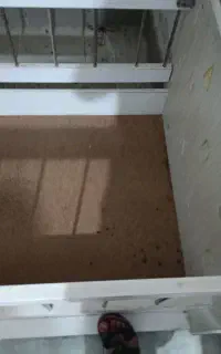 گهواره