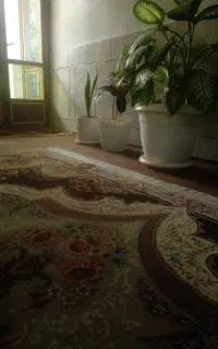 گل داریم چ گلی