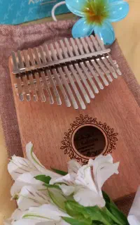 کالیمبا مدل AZ-110 وارداتی، ۱۷ تیغه + لوازم کامل