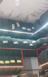 لاستیک ب قیمت مصوب