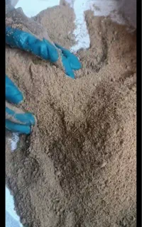 پودر گوشت طیوری ( خوراک دام و آبزی ) کشتارگاهی