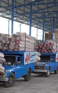 قالیشویی تخصصی گلرنگ