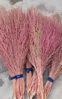 جارو محلی..گسک