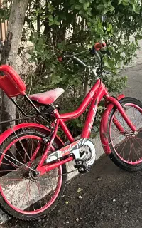 دوچرخه