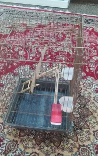 قفس پرنده