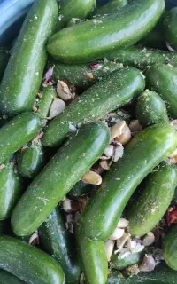 خیارشور بومی