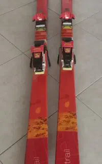 چوب اسکی آلپاین