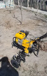 باغبانی و سمپاشی درختان در تمام نقاط شهر