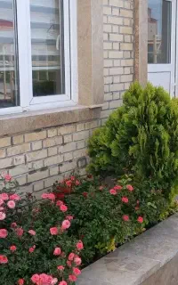 باغبانی و فضای سبز