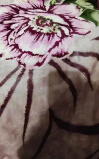 پتوچهارعدد