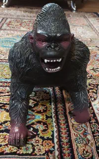 حیوانات