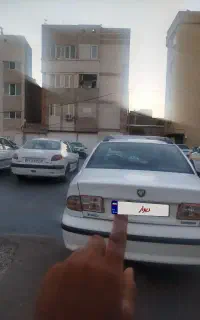 سمند سفید