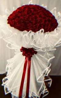 گل رز شاین دار