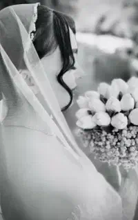 فیلمبرداری و عکاسی اقتصادی