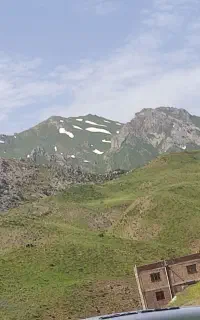 کارگروهی‌بژار