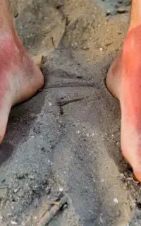 محافظ رادیات بخاری ۲۰۶و ۲۰۷