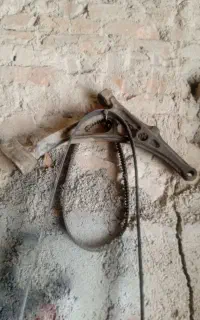 طبق پژو