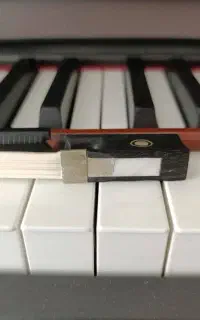 violin bow