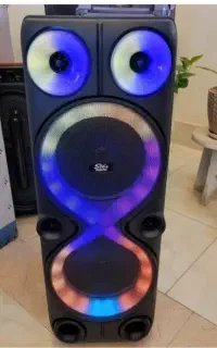 اسپیکر ۸۰ سانتی دو میکروفون