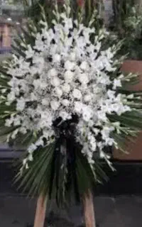 مداح مداحی . فارسی دشتی کردی